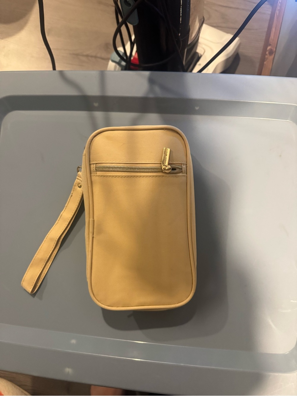 Breast milk travel case